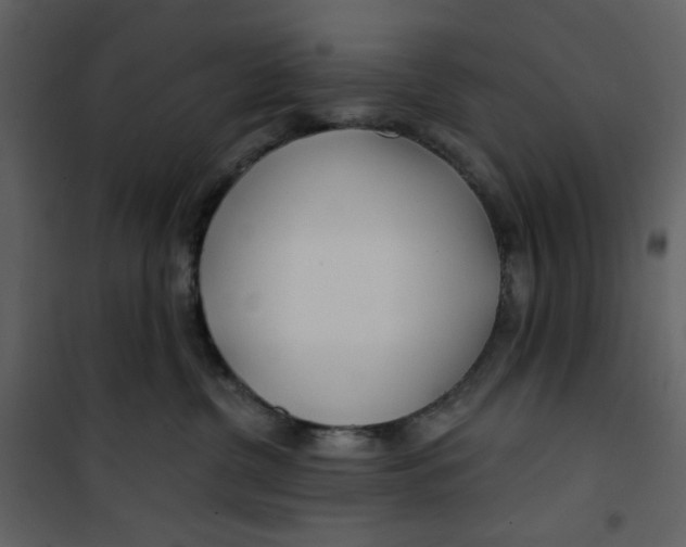 X0000100780380200807171449