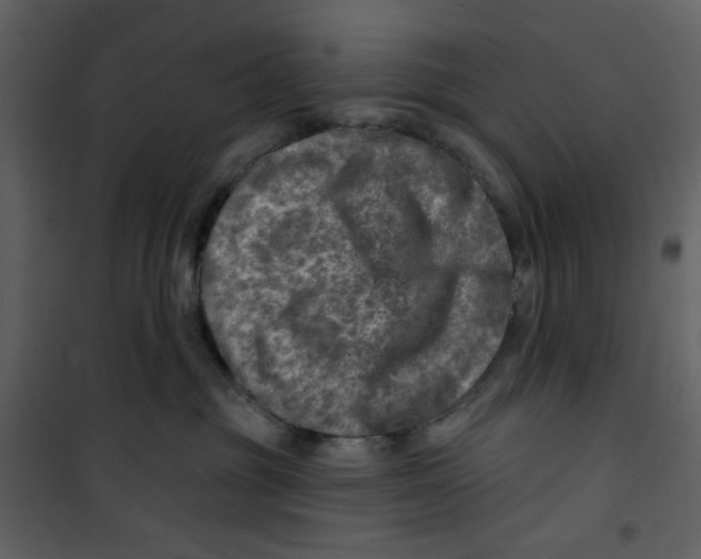 X0000100780381200807171449