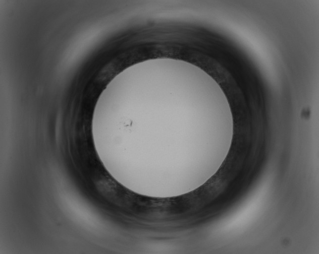 X0000100780382200807171449