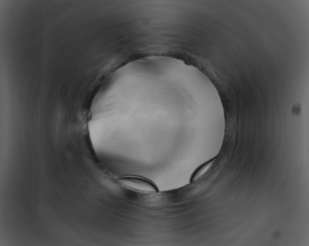 X0000100780383200807171449