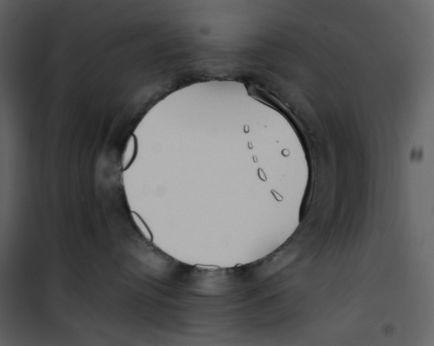 X0000100780384200807171449