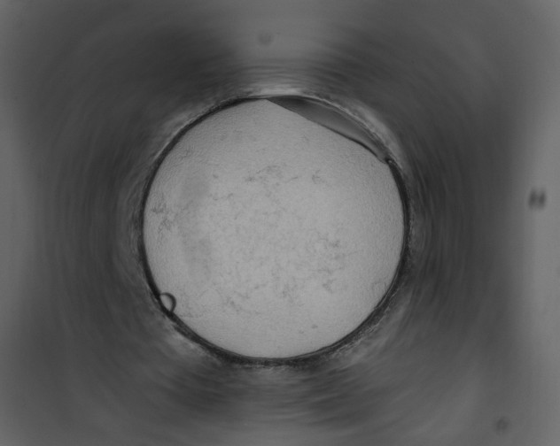 X0000100780385200807171448