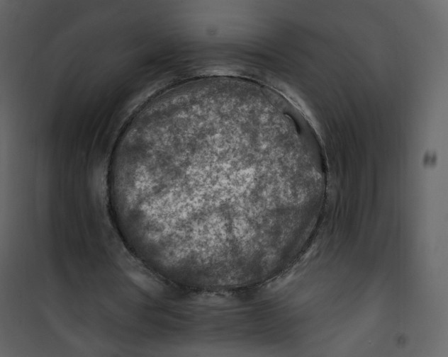 X0000100780386200807171448