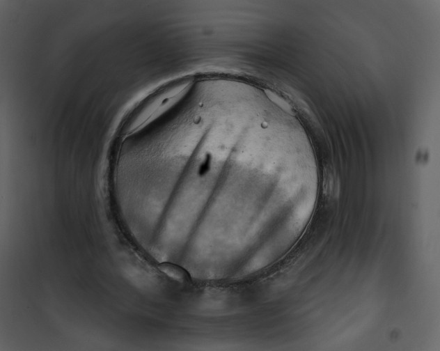 X0000100780388200807171448