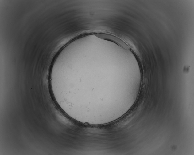 X0000100780389200807171448