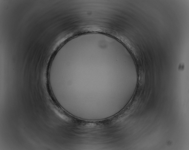 X0000100780390200807171448