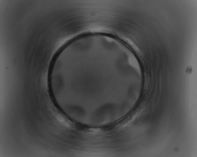 X0000100780391200807171448