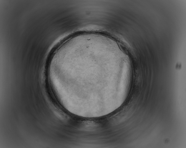 X0000100780392200807171448