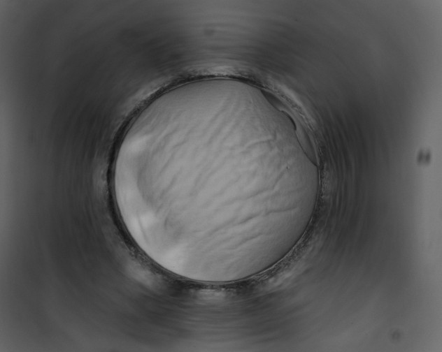 X0000100780394200807171448