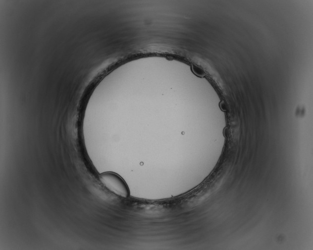 X0000100780395200807171448