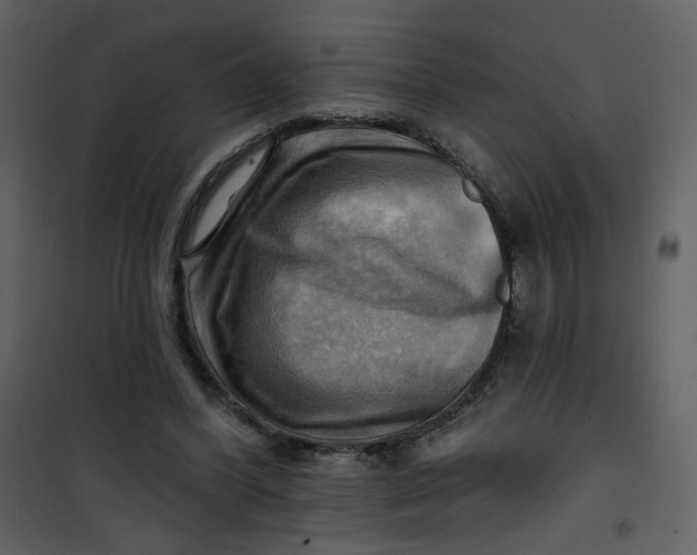 X0000100780396200807171448