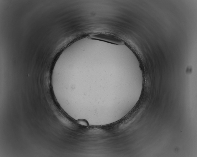 X0000100780397200807171448