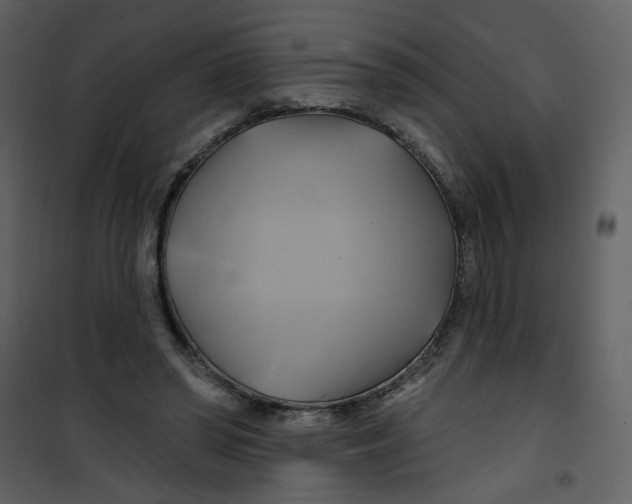 X0000100780398200807171448