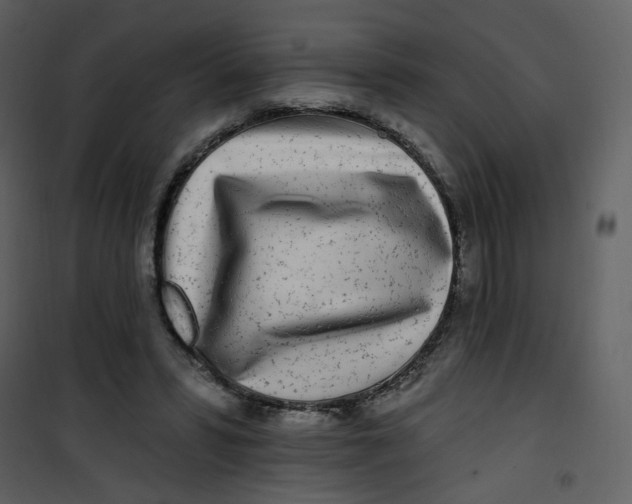 X0000100780399200807171448