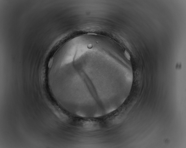 X0000100780400200807171448