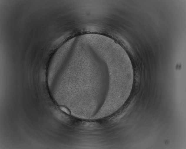X0000100780401200807171448