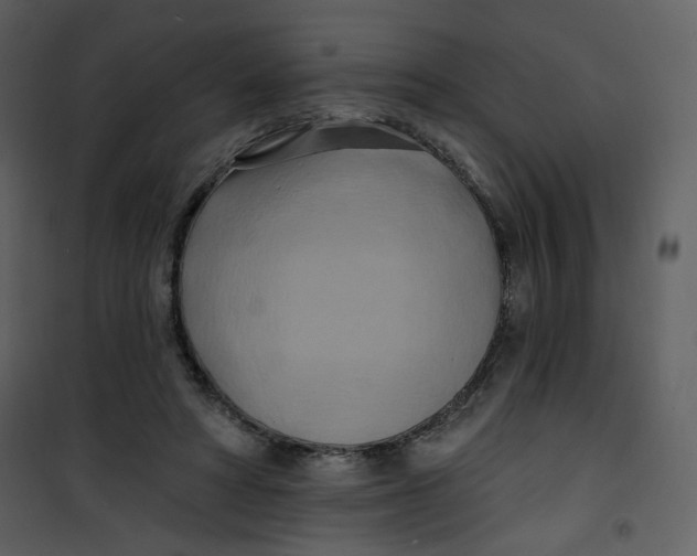 X0000100780402200807171448