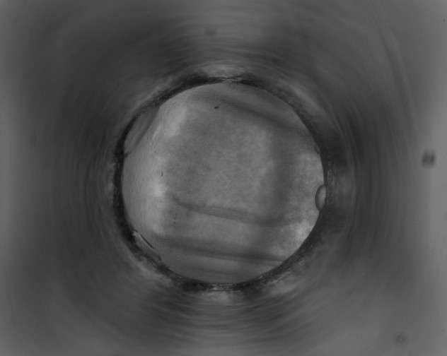X0000100780404200807171448