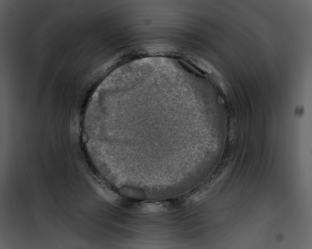 X0000100780405200807171448