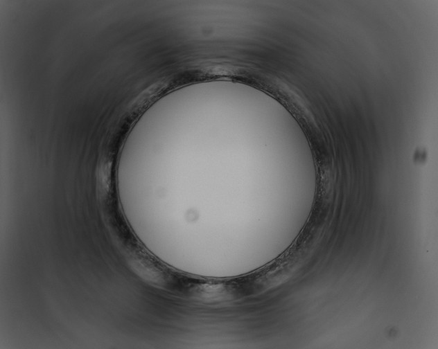 X0000100780406200807171448