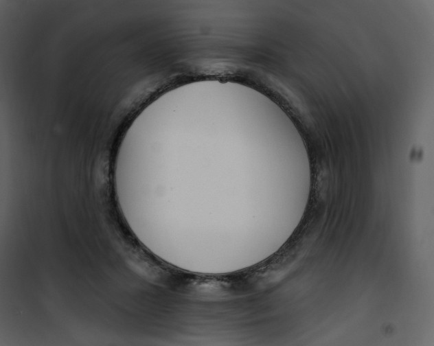 X0000100780407200807171448