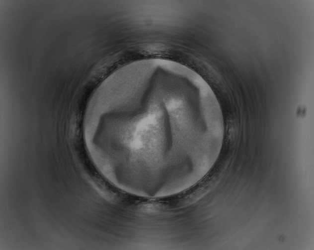 X0000100780408200807171448