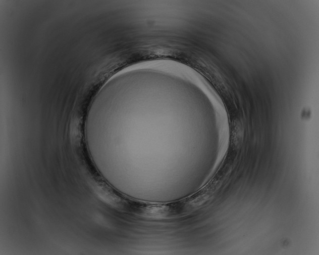 X0000100780410200807171448