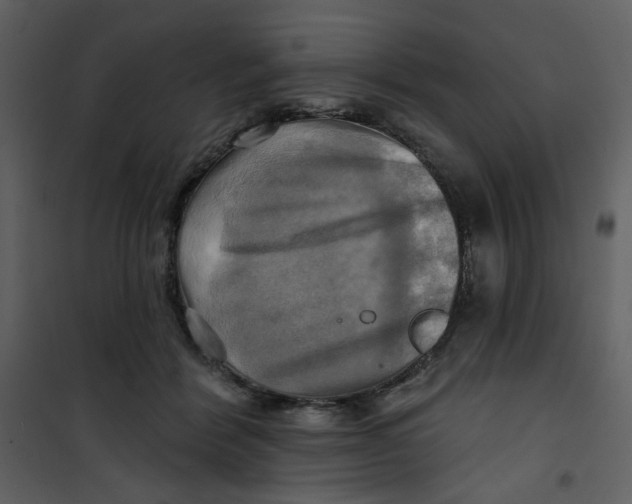 X0000100780412200807171448
