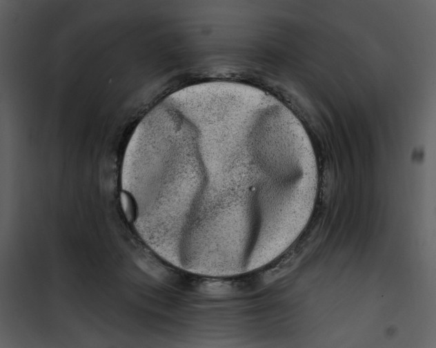 X0000100780413200807171448