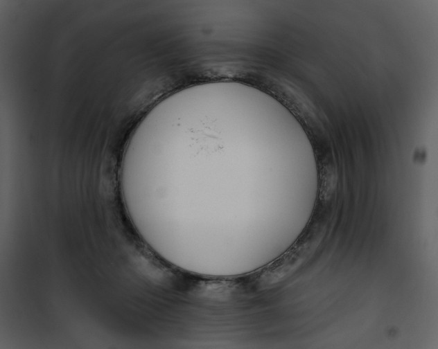 X0000100780414200807171448