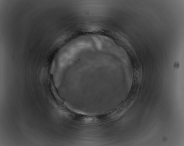 X0000100780415200807171448