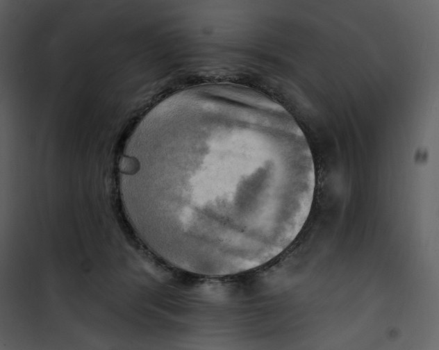X0000100780416200807171448