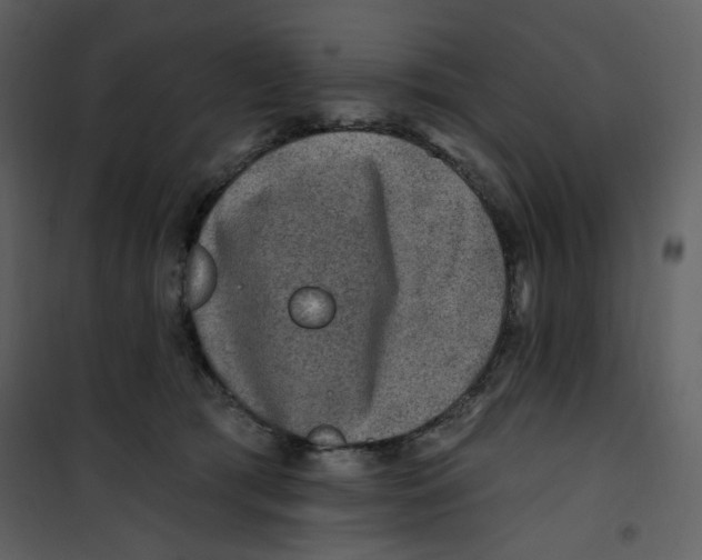 X0000100780417200807171448