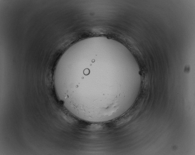 X0000100780418200807171448