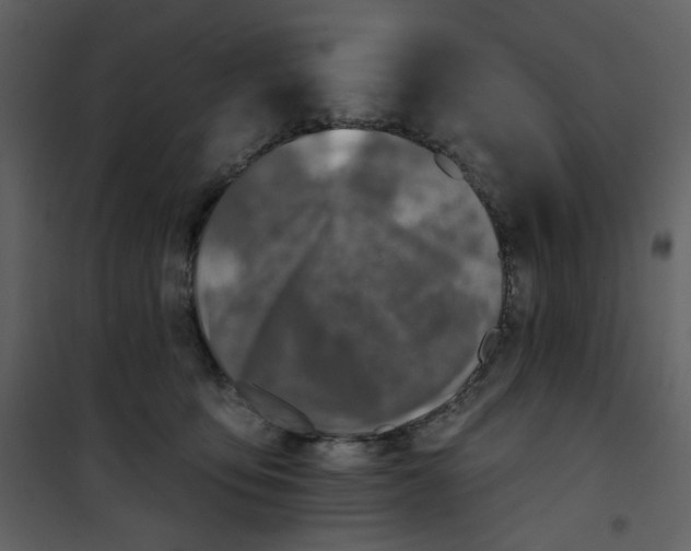 X0000100780419200807171448
