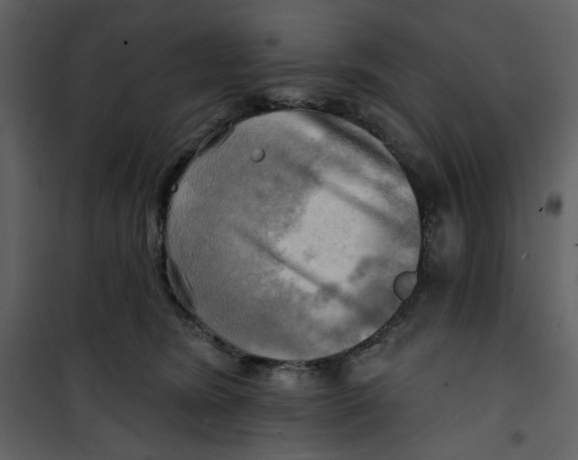 X0000100780420200807171447