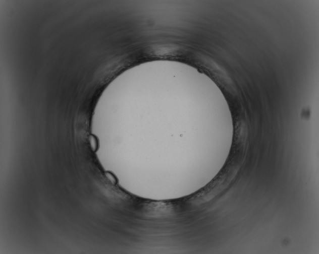 X0000100780421200807171447