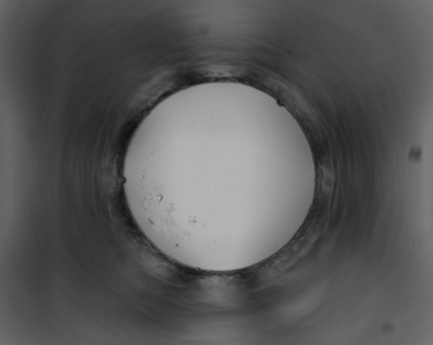 X0000100780422200807171447