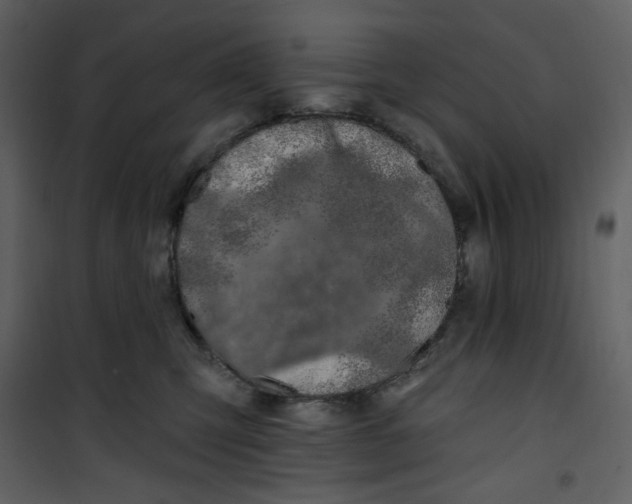 X0000100780423200807171447