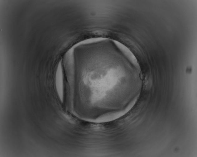 X0000100780424200807171447