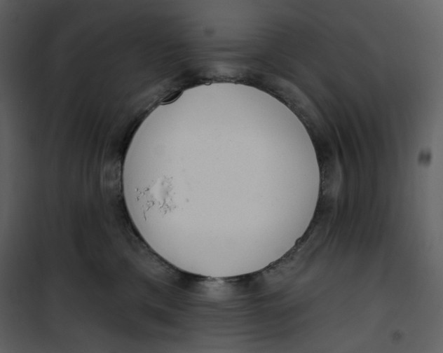 X0000100780425200807171447