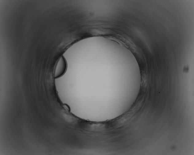 X0000100780426200807171447