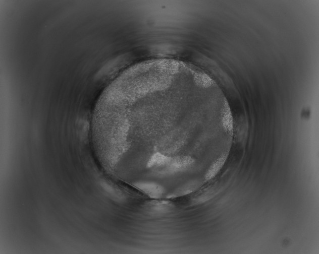 X0000100780427200807171447