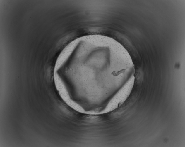 X0000100780428200807171447