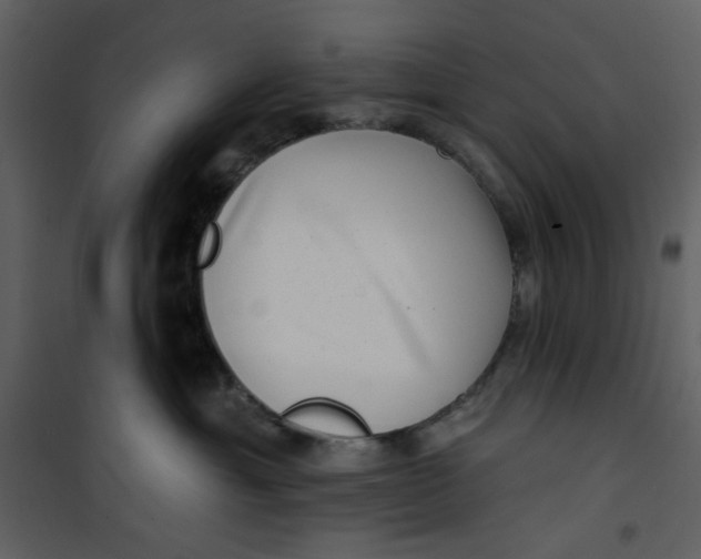 X0000100780429200807171447