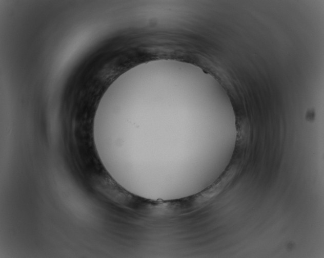 X0000100780430200807171447