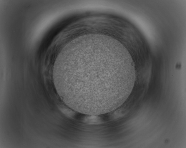 X0000100780431200807171447