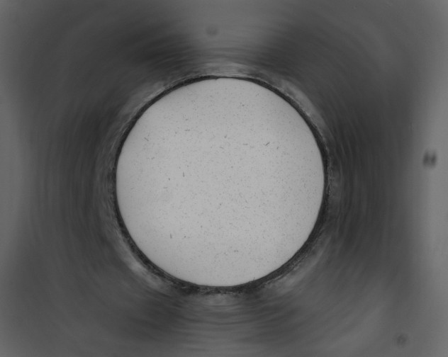 X0000100780433200807171446