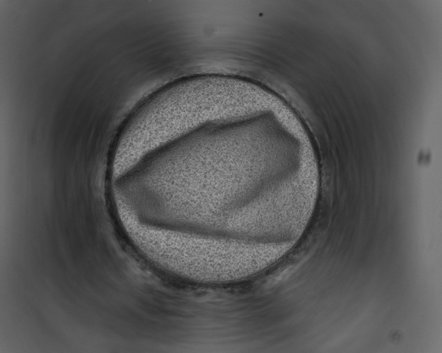X0000100780434200807171447
