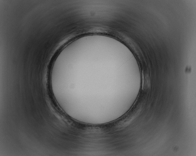 X0000100780435200807171447